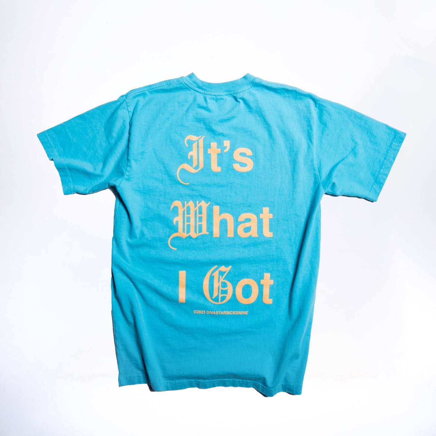 Lou Dog Tee (Blue)